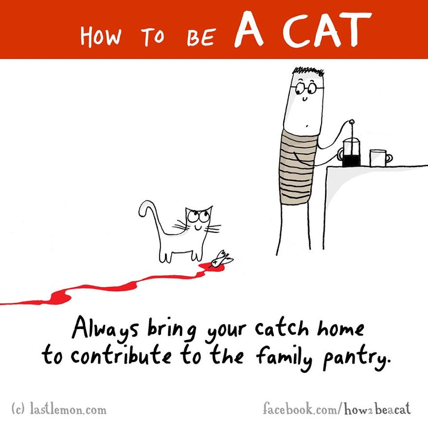 how-to-be-a-cat-funny-illustration-last-lemon-25