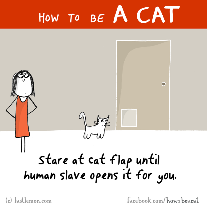 how-to-be-a-cat-funny-illustration-last-lemon-29