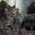 jurassic-cats-21