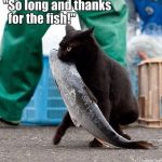 master-cat-theives-3