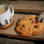 master-cat-theives-6