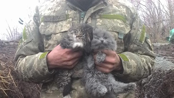 soldiers-and-cats-11