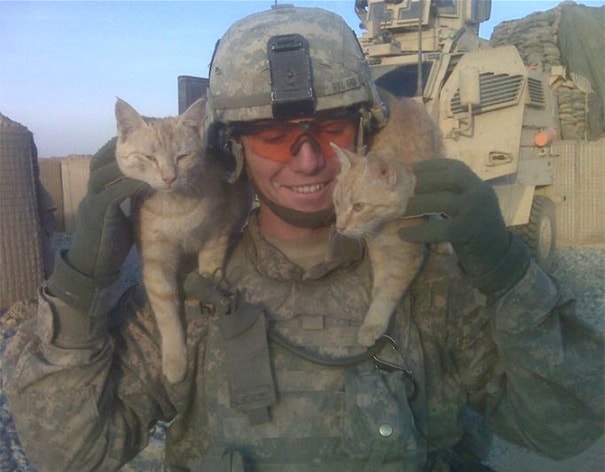 soldiers-and-cats-13