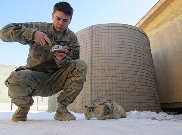soldiers-and-cats-14