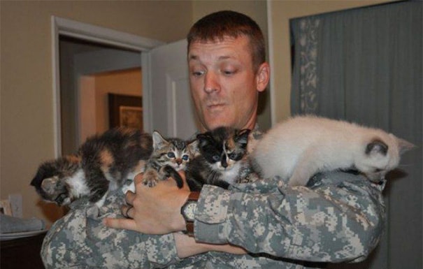 soldiers-and-cats-15