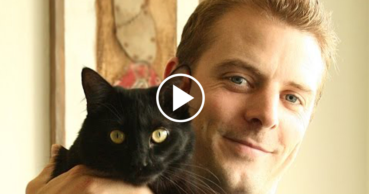 10 Ways Cats are Good For You! Catlov