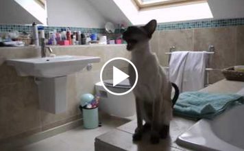 No Chance Of A Relaxing Shower in This Home