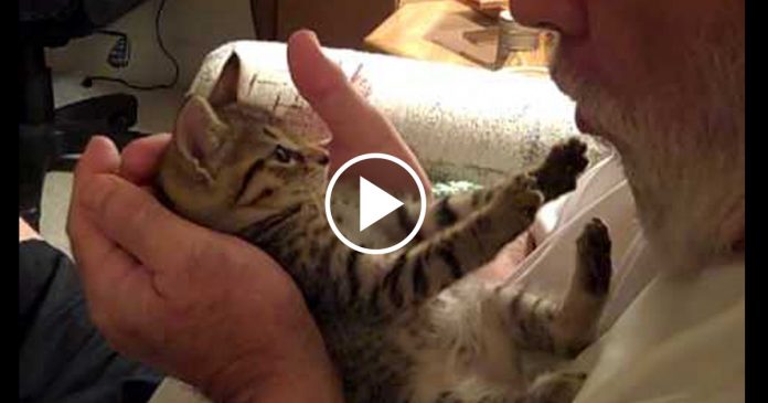 Featured-Timmy-Kisses-FB