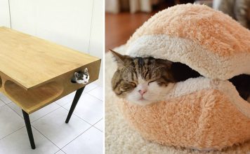 20+ Awesome Furniture Design Ideas For Cat Lovers