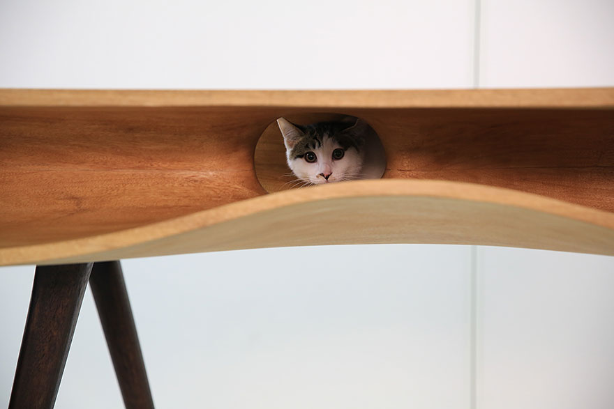 cat-furniture-creative-design-20