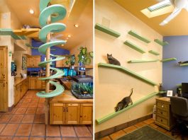 20+ Awesome Furniture Design Ideas For Cat Lovers | Catlov