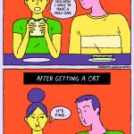 cat-skills-14