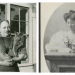 cats-in-history-feature