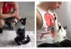 Cat Responds To "Who's A Good Boy?" Just Like A Dog Does