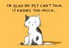 15 Truths About Cats