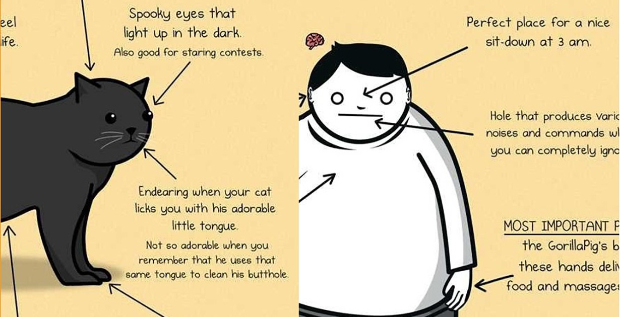 Cute Illustrations Which Perfectly Depict How Cats And Humans See Each