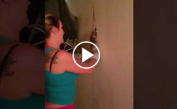 They Open The Drywall After Hearing Weird Noises And Find A Litter Of Kittens Inside