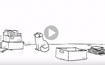 The Box – Simon’s Cat