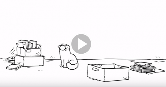 Featured-Simons-Cat-The-Box-FB
