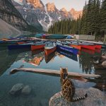 adventures-suki-the-cat-canada-16