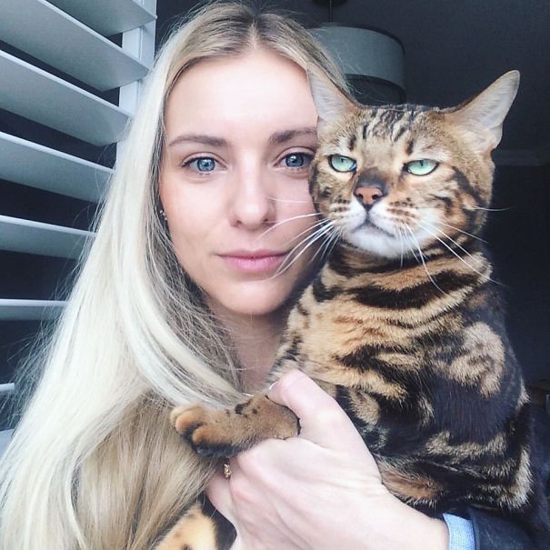 cats-dont-like-selfies-2