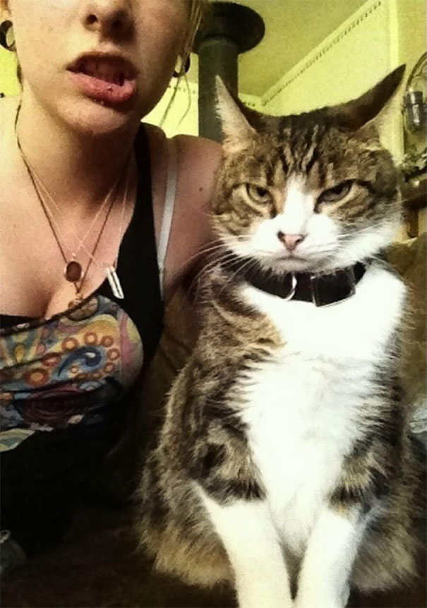 cats-dont-like-selfies-29