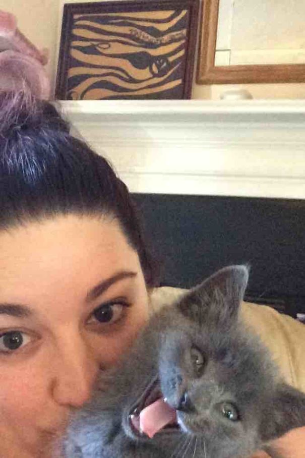 cats-dont-like-selfies-30