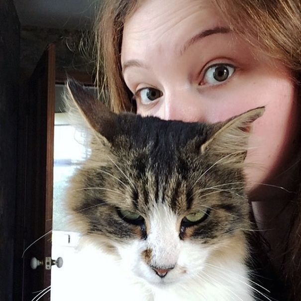 cats-dont-like-selfies-34