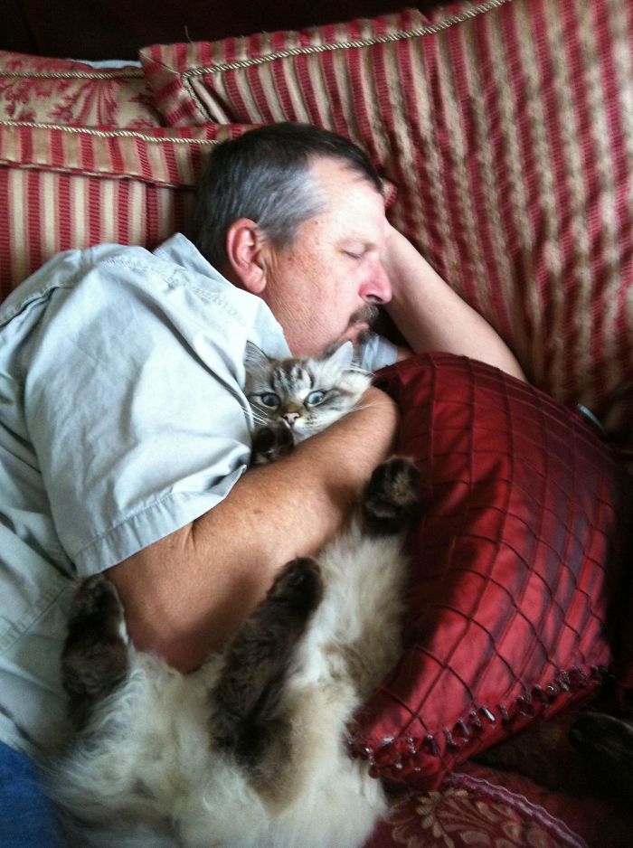 people-who-didnt-want-cats-15