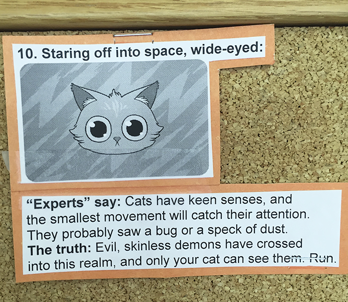 vet-cat-explanations-10