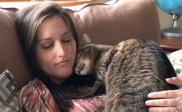 Cats Cute Reaction To Finding Out Her Human Is Pregnant