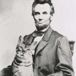 historic-cat-photos-13