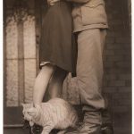 historic-cat-photos-4