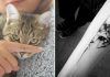 20+ Of The Best Cat Tattoo Ideas Ever
