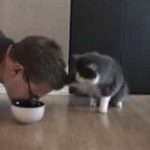 Featured-Man-Attempts-To-Eat-Kitten-Food-FB