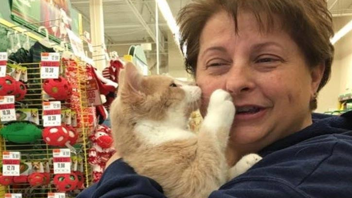 Rescue Cat So Happy to Be Adopted He Can’t Stop Hugging His Human Catlov