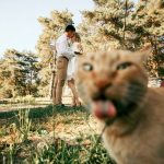 funny-cat-photobombs-1