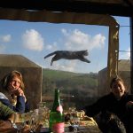 funny-cat-photobombs-9