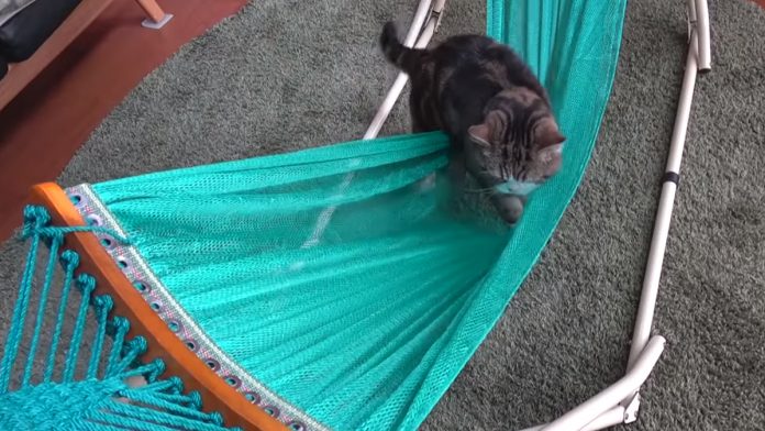 Featured-Maru-Hammock-FB