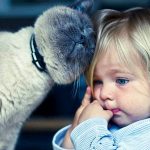 Featured-Kids-With-Cats-FB