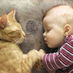 babies-with-cats-29