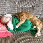 babies-with-cats-30