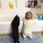 babies-with-cats-33