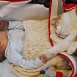 babies-with-cats-36