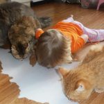 Featured-Kids-With-Cats-FB