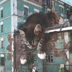 Featured-russian-artist-photoshops-giant-cats-odnoboko-fb