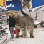 If-Cats-Were-Bigger-3