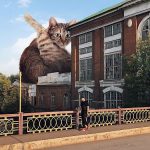 If-Cats-Were-Bigger-30