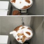 Cats-Are-Liquid-27