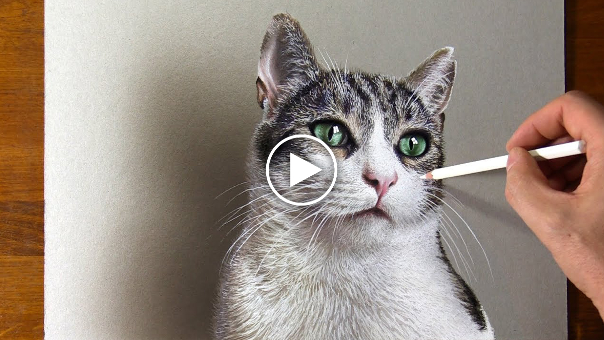 A Cat Drawing So Real You Can Hear Its Purr! | Catlov